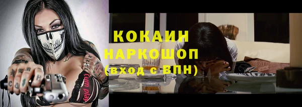 гашик Нея