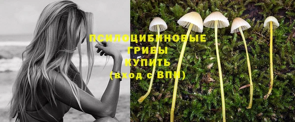 бошки Новокубанск