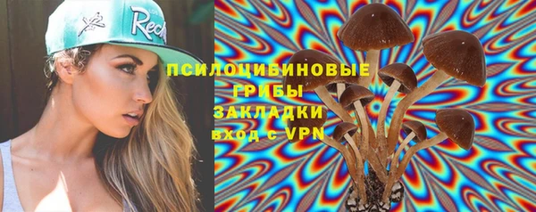 спиды Нефтекумск