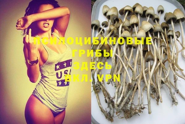 бошки Новокубанск