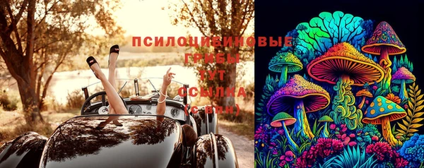 бошки Новокубанск