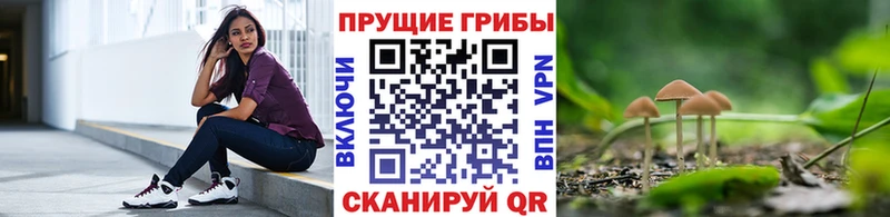 mega зеркало  Николаевск-на-Амуре  Галлюциногенные грибы мухоморы  как найти закладки 