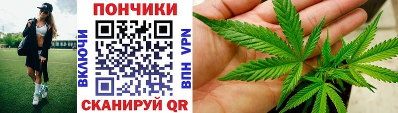 Шишки марихуана THC 21%  mega маркетплейс  Николаевск-на-Амуре 